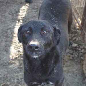 WIGA – reserviert PVA - vermittelt