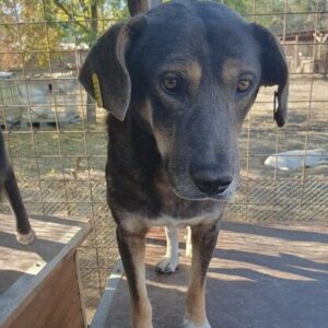 UNO - vermisst 11/24