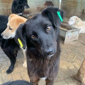 BILLA (♀) - auf PS im PLZ Bereich 75 (SE)