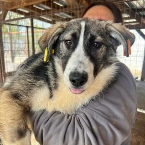 JULY (♀) - sollte zeitnah ausreisen