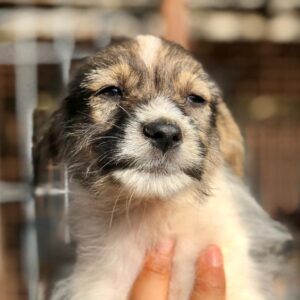 FINNY - vermittelt MD