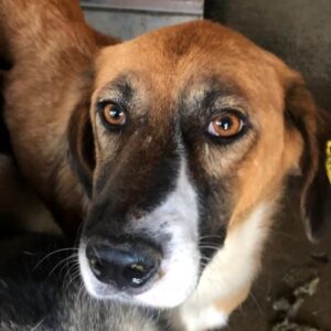 MARIA - auf PDR PS im PLZ Bezirk 64 - vermittelt