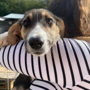 HEMI - vermittelt MD