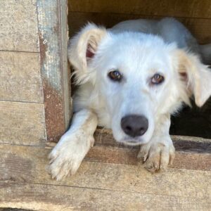 LULEA - auf PDR PS im PLZ Bezirk 24 - vermittelt