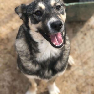 EDDA - auf PDR PS im PLZ Bezirk 64 - vermittelt