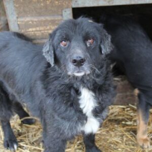 ELSE - ausgereist zu PVA