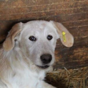 BEAUTY (⚤) - vermisst 11/24