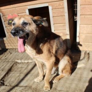 KIMBEL - ausgereist zum TH Filderstadt