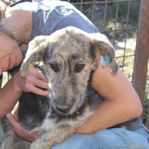 ISKA - zu dünn reserviert TH Filderstadt (17/11) - RBB 11/23