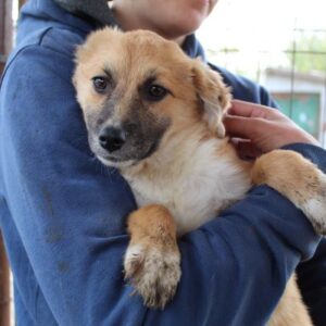 WILMA - ausgereist zu TINO