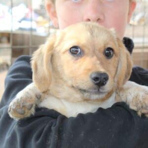 WILLJA - vermittelt Kathleen Müller