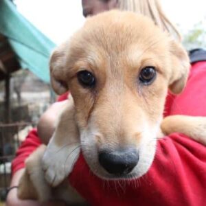 INEZ - vermisst 11/2024