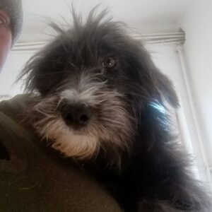 PIPILOTTA (♀) - ausgereist zur Tierhilfe Lebenswert