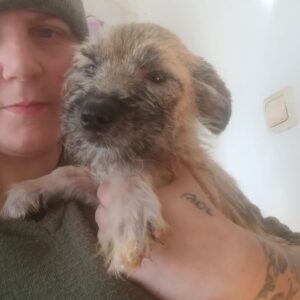 LILLI-ELA (♀) - ausgereist zur Tierhilfe Lebenswert