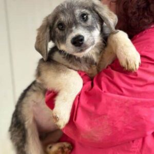 JADE (♀) - auf PDR PS im PLZ Bezirk 18 - reserviert