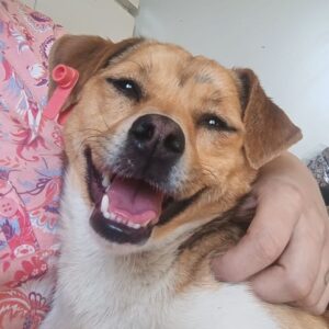 BERENIKE (♀) - ausgereist zum TST Rösrath