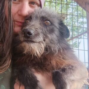 INFINITY (♀) - auf PDR PS im PLZ Bezirk 65 *ausgereist*