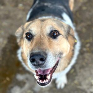 IMMO (♂) - vermittelt Manuela