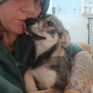 BECCA (♀) - ausgereist zur Tierhilfe Lebenswert