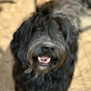 EDWIN (♂) - RBB 07/24