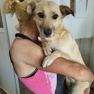 ROBERTA (♀)- vermittelt MD