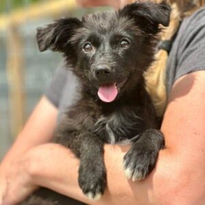 KEILA (♀) - ausgereist zum TH Tuttlingen