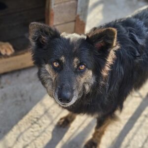 UMA (♀) - reserviert TST (AL 18.05.)