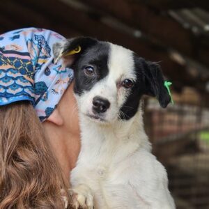 JEMINA (♀)- auf PS im PLZ Bereich 183 - vermittelt