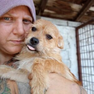 BAILY (♂)-vermittelt JW