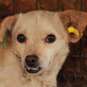 INED (♀) - auf PS im PLZ Bereich 24