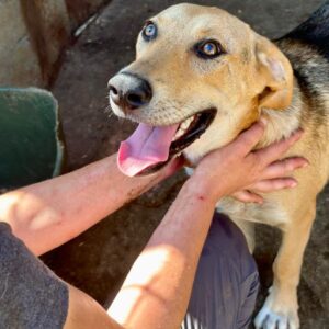 LOUIS (Doppelerfassung, = DIRKY)