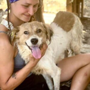 TIGO (♂) - ausgereist zum TST Rösrath