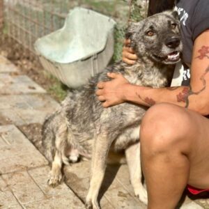 TAYAN (♂) - seelischer Notfall - sehnt sich nach Menschen