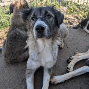 JUMA (♀) - total fertig