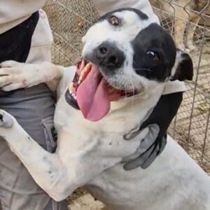 PLOY (♀) – Staff Mix – Vermittlung nur nach Österreich möglich