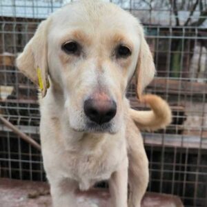 SANNE (♀) - auf PS im PLZ Bereich 53 (NE) - vermittelt