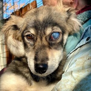 BENJA (♀) - vermittelt LS