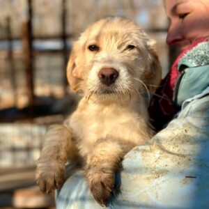 SANNIE (♀) - ausgereist zum TST Rösrath (AL)