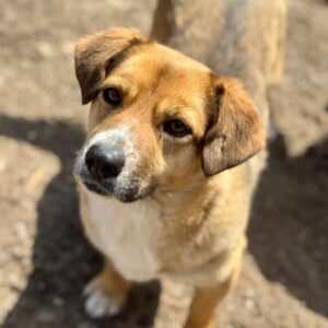 BUNNY (♀) - reserviert Kathleen Müller (AL 21.05.)