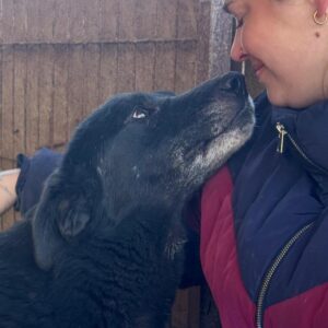 ALEIKA (♀) - leidet im Shelter