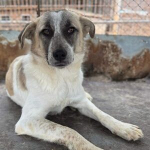 MARTHA (♀) - auf PS im PLZ Bereich 58 (MK)