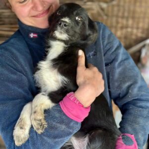 EMMIE (♀) - ausgereist zu Vierbeiner in Not (AL)