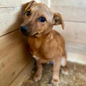 LILLIBIT (♀) - auf PS im PLZ Bereich 92 (JW)