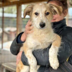 MARGA (♀) - reserviert TST (AL 18.05.)