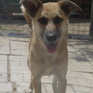 XANA - vermisst 11/2021