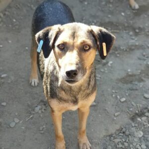 XENIA - vermisst 08/21, wahrschl. RBB