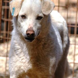 YASIN - vermisst 11/24