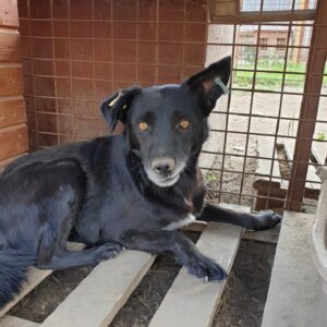 ZACH - vermisst 11/2021