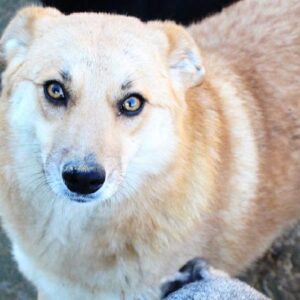 ZILA - reserviert KM Anna - vermittelt