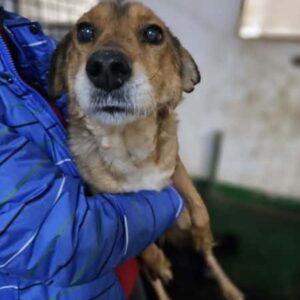 ENRICA (♀) - vermittelt LS